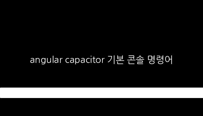 angular capacitor 기본 콘솔 명령어