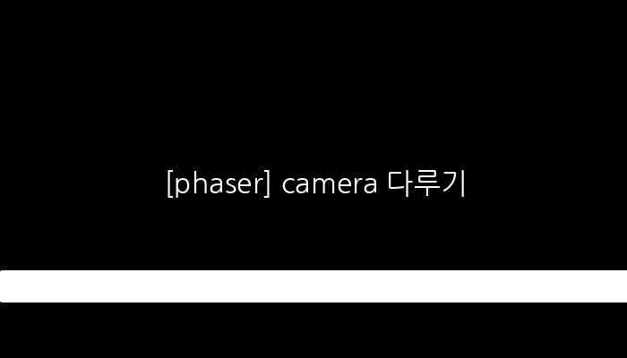 [phaser] camera 다루기
