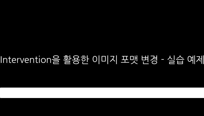 Intervention을 활용한 이미지 포맷 변경 - 실습 예제 및 사용법 소개