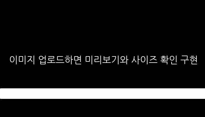 이미지 업로드하면 미리보기와 사이즈 확인 구현