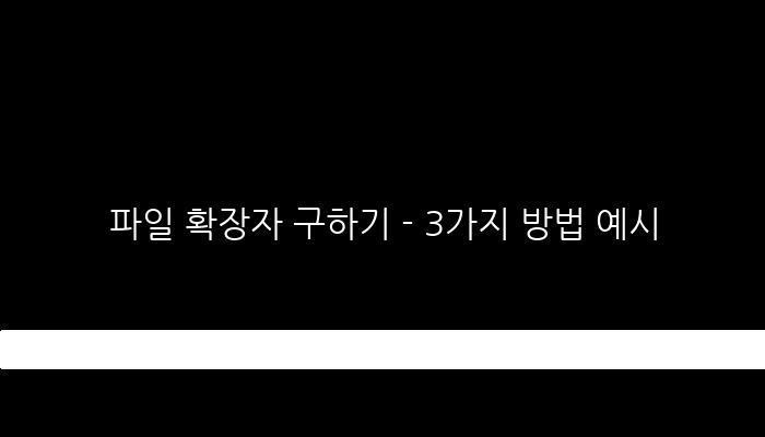 파일 확장자 구하기 - 3가지 방법 예시