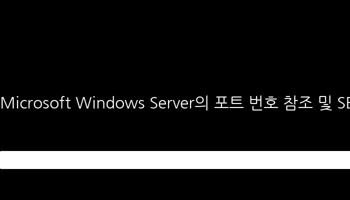 Microsoft Windows Server의 포트 번호 참조 및 SEO 태그