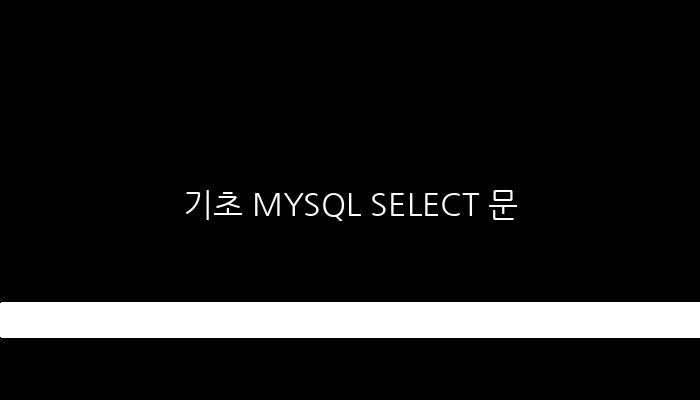 기초 MYSQL SELECT 문